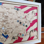 National Park Travel Map - 63 Parks Push Pin Map(USA Flage)