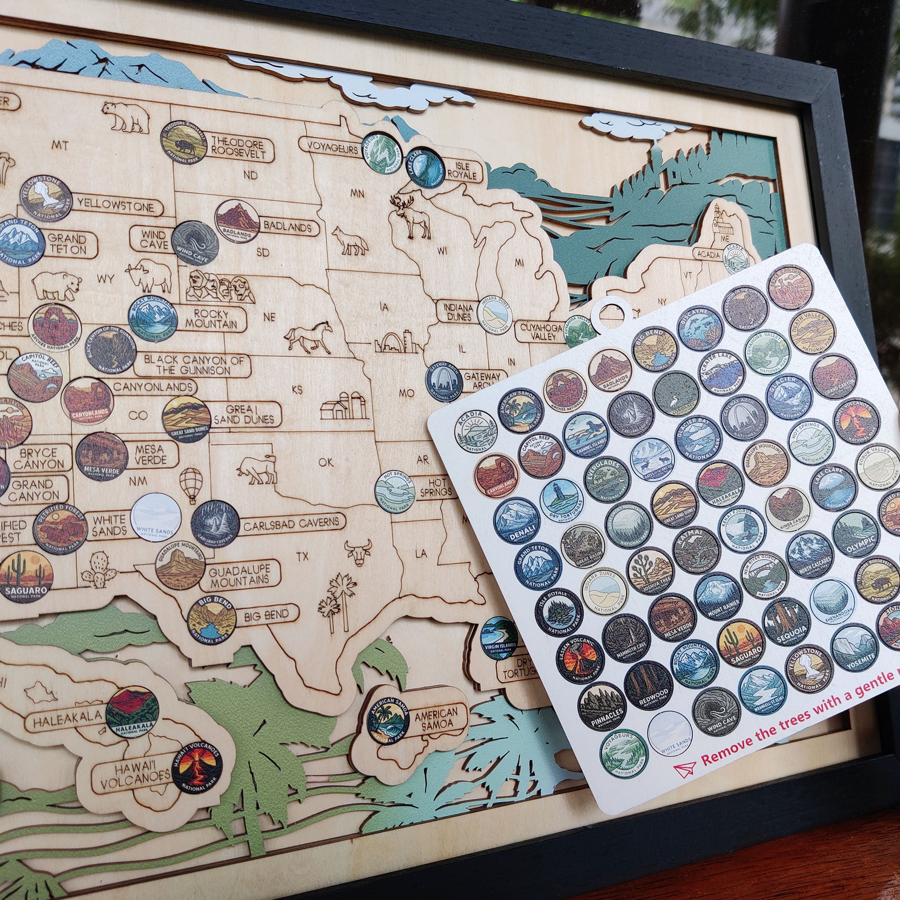 National Park Travel Map - 63 Parks Push Pin Map(Mountain)