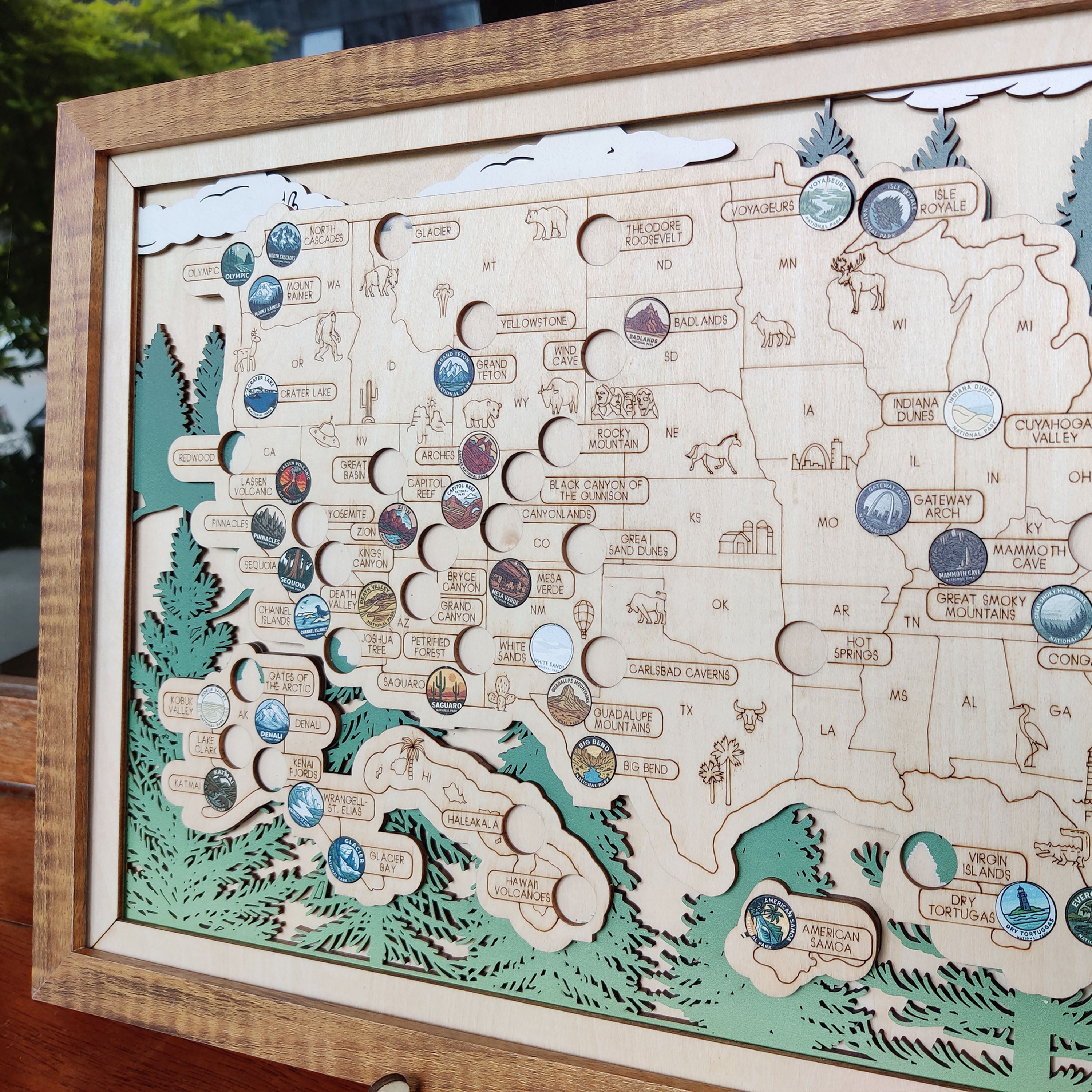 National Park Travel Map - 63 Parks Push Pin Map(Forest）