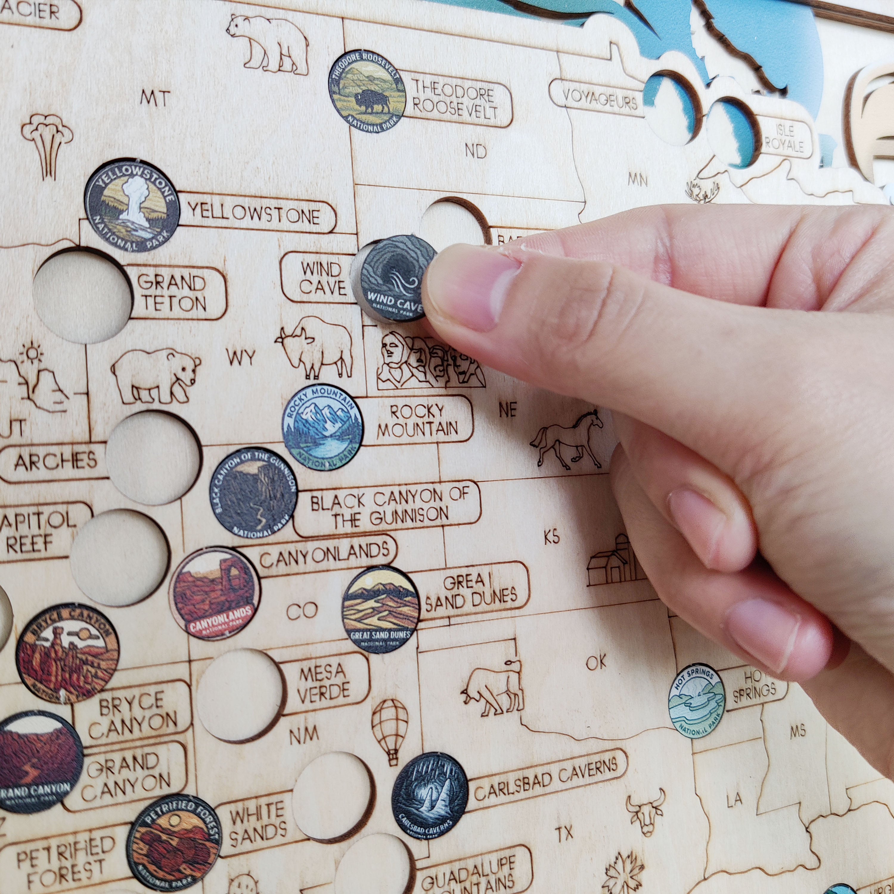 National Park Travel Map - 63 Parks Push Pin Map(Eagle)