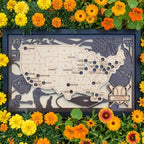 Wood MLB Baseball Stadium Map, Gift for Him