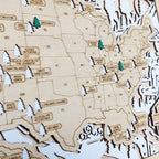 National Parks Travel Map, Gift for Hikers, National Parks Marker, USA Travel Map, Family Road Trip Tracker, Anniversary Gift, Handmade Gift