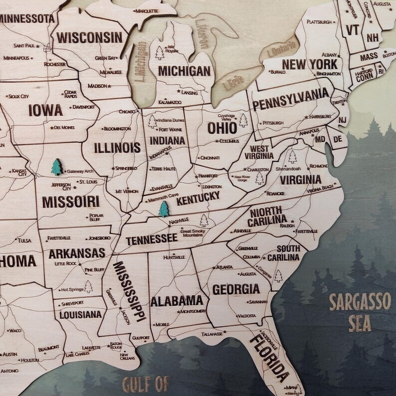 Wooden Map of USA (Mountains Printed Board + Natural Plywood)